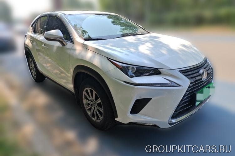 Lexus NX200, 2020 — фото автомобиля